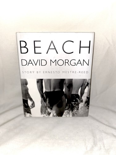 Beach david morgan and - by,