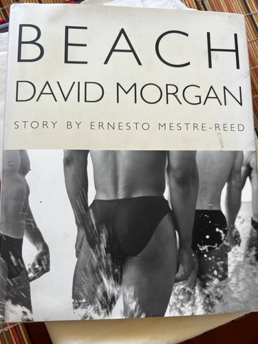 Beach david morgan story - david,