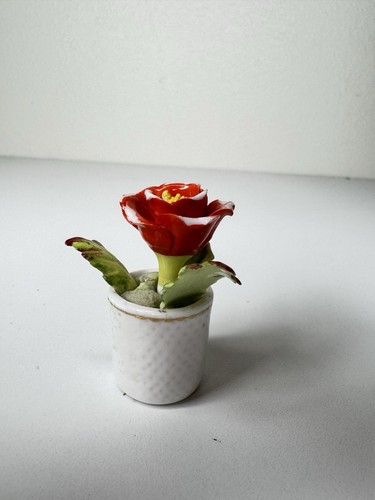 Maruri mestre porcelain mini - mestre,