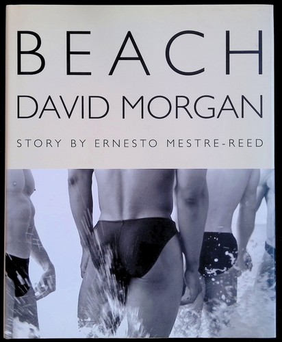 Beach david morgan - david,