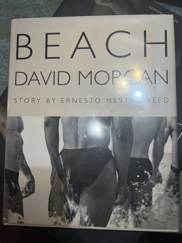 David morgann ernesto - david,