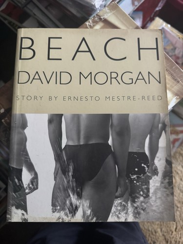 Beach david morgan and - morgan,